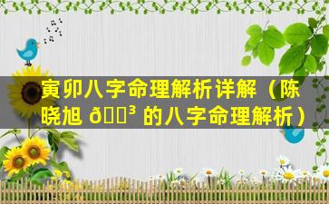 寅卯八字命理解析详解（陈晓旭 🌳 的八字命理解析）